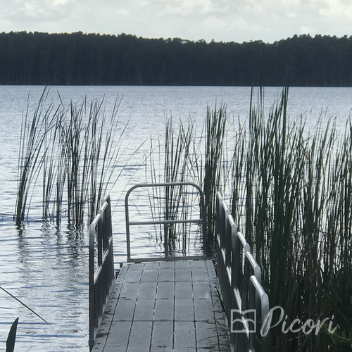 Dock on the lake amongst the reeds